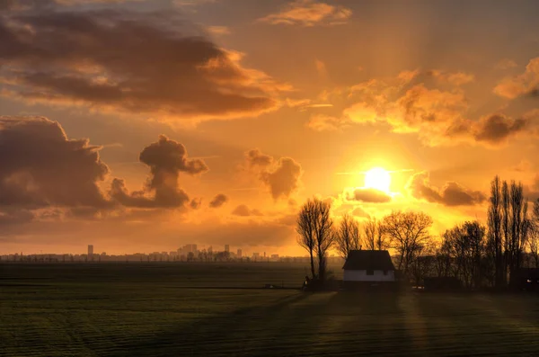 Sonnenuntergang Über Den Feldern Sonnigen Tag — Stockfoto