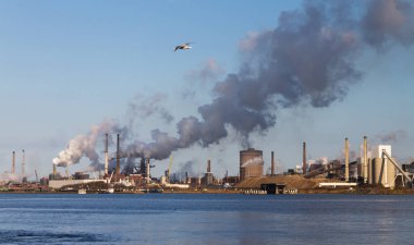 Hollanda, Ijmuiden 'in ağır sanayii