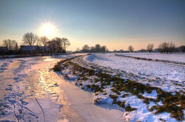 Hollanda 'da kış manzarası, Amsterdam yakınlarında.