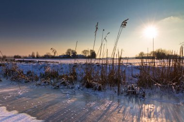 Hollanda 'da kış manzarası, Amsterdam yakınlarında.