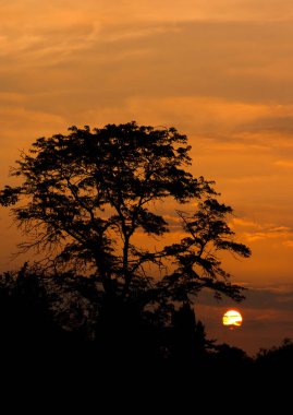 Gökyüzünde gün batımı