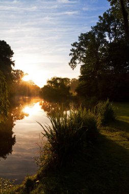 Hollanda, Amsterdam 'daki Vondelpark manzarası