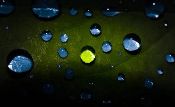 Wasserperlen Auf Blatt Makroansicht — Stockfoto