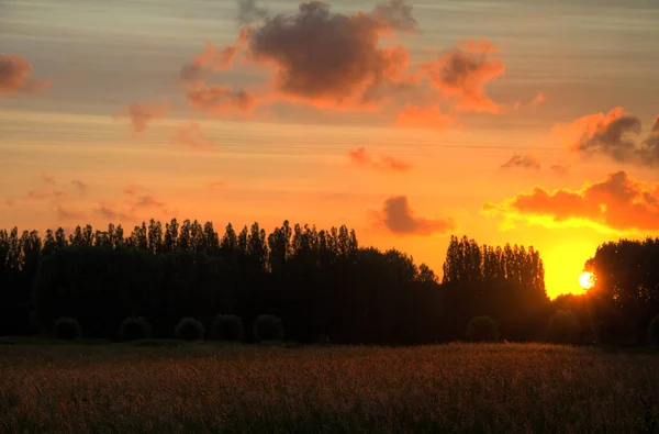 Malerischer Sonnenuntergang Über Der Natur Der Niederlande — Stockfoto