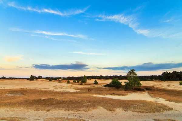 Sunset Sand Plains Kootwijkerzand Netherlands — Foto de Stock