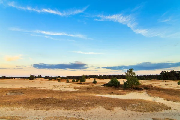 Pôr Sol Nas Planícies Areia Kootwijkerzand Holanda — Fotografia de Stock