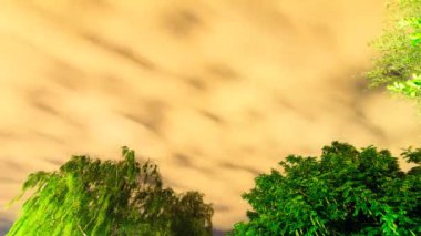 Hollanda 'da bulutlar ve ağaçlarla dolu bir gece.