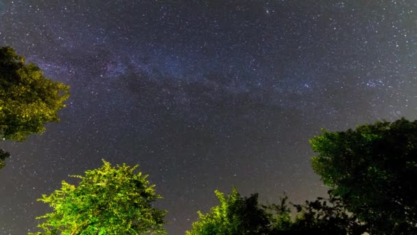 Paisaje Nocturno Estrellado Con Árboles Verdes — Vídeos de Stock