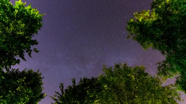 美しい天の川の星は アルデンヌの夜空にタイムラプスします ベルギー — ストック動画