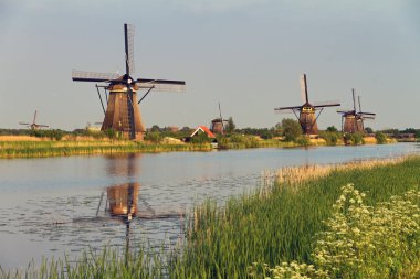 Hollanda, Kinderdijk 'teki Hollandalı yel değirmenlerinin güzel panoramik görüntüsü. Bir Unesco dünya mirası alanı