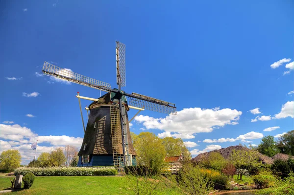 Hollanda Daki Amsterdam Hollanda Daki Amstel Parkının Yakınındaki Riekermolen Rüzgar — Stok fotoğraf