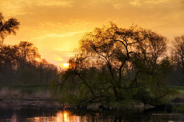 Piękny Wschód Słońca Vondelpark Amsterdamie Holandia — Zdjęcie stockowe