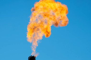 İlişkili petrol gazının yanma