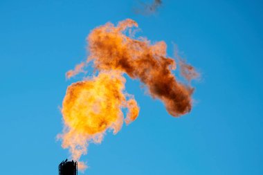 İlişkili petrol gazının yanma