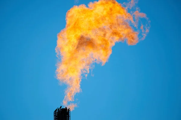 Combustão de gás de petróleo associado — Fotografia de Stock