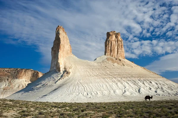 On the Ustyurt Plateau — Stock Photo, Image