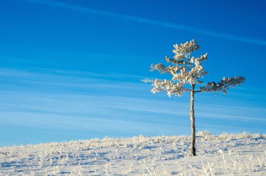 Kış Karkaraly dağlarda