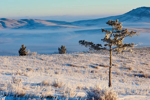 Inverno nas Montanhas Karkaraly — Fotografia de Stock