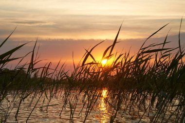 Kıyı alanı Balkaş Gölü