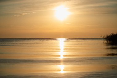 Kıyı alanı Balkaş Gölü