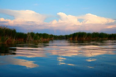 Kıyı alanı Balkaş Gölü