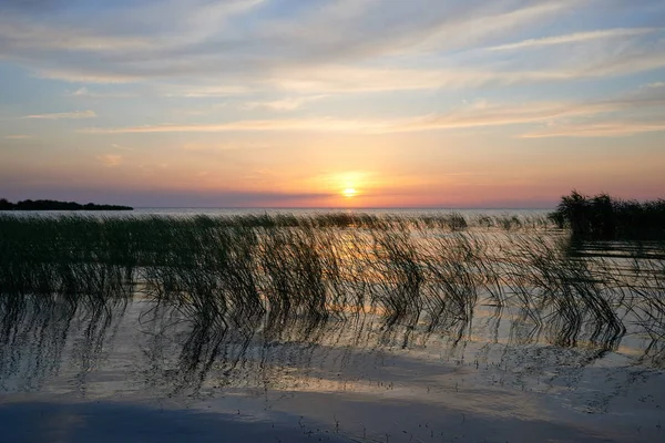 Zona costiera Lago Balkhash — Foto Stock