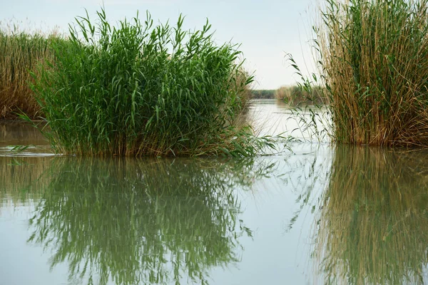 Zona costiera Lago Balkhash — Foto Stock