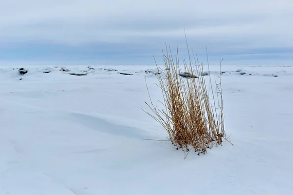 El hummock de hielo en el lago Balkhash — Foto de Stock