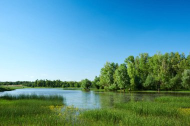Ural Nehri. Kazakistan. Batı Kazakistan bölge.