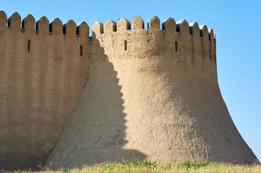 Türkistan şehrinin türleri