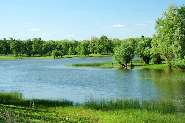 Ural Nehri. Kazakistan. Batı Kazakistan bölge.