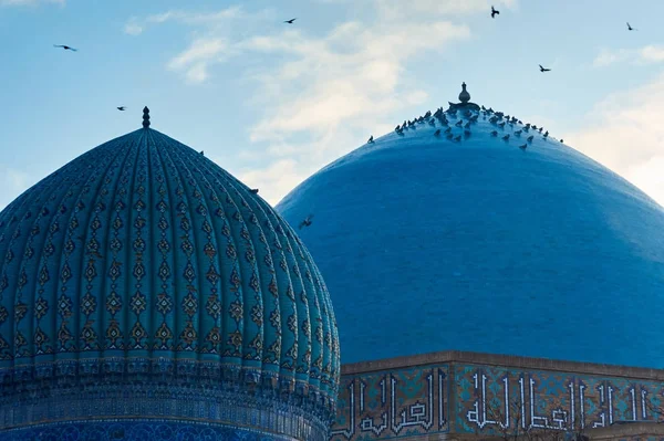 Türkistan şehrinin türleri
