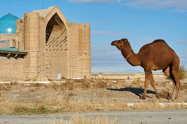 Tipos de la ciudad de Turquestán — Foto de Stock