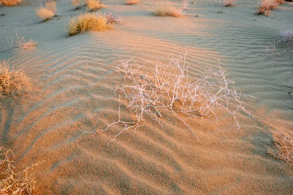 The desert part of the Ustyurt plateau — Stock Photo, Image