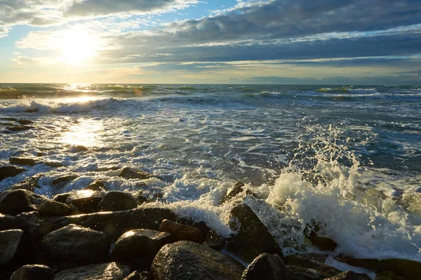 On the shore of the Caspian Sea — Stock Photo, Image