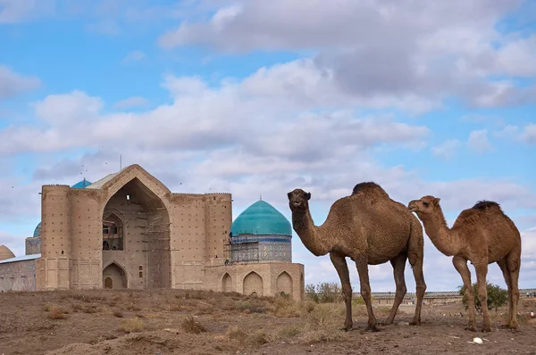 Types de la ville du Turkestan . — Photo