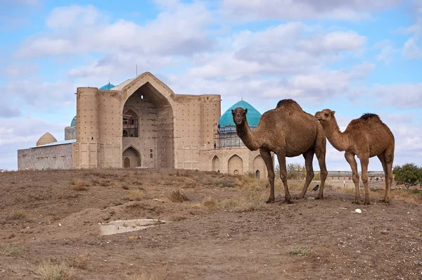 Types de la ville du Turkestan . — Photo