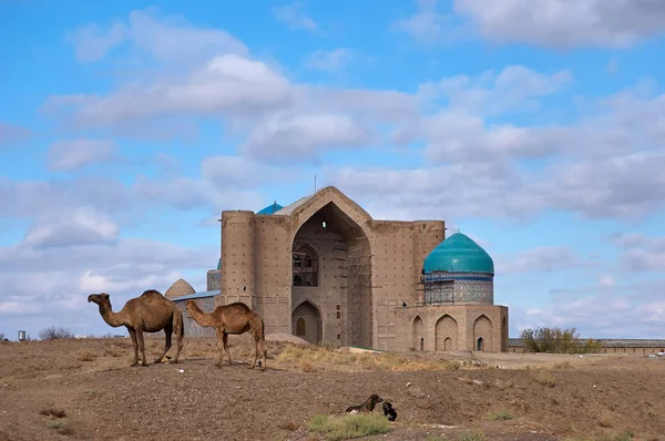 Türkistan şehrinin türleri.