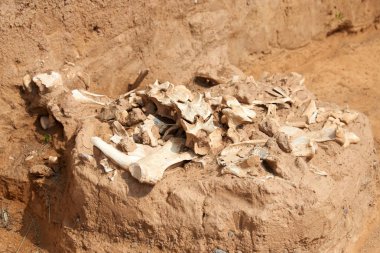 Arkeolojik kazılar. Arkeoloji, pozlama, işleme ve arkeolojik kalıntıları kayıt kazı var. Bir kazı site ya da 