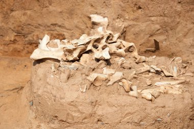 Arkeolojik kazılar. Arkeoloji, pozlama, işleme ve arkeolojik kalıntıları kayıt kazı var. Bir kazı site ya da 