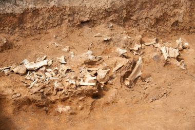 Arkeolojik kazılar. Arkeoloji, pozlama, işleme ve arkeolojik kalıntıları kayıt kazı var. Bir kazı site ya da 