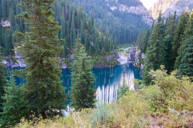 Kurumuş gövdeleri batık Schrenks Ladin ağaçları bu artış alt Gölü nün suları yüzeyden yukarıda. Batık Orman Gölü Kaindy. Lake Kaindy, 