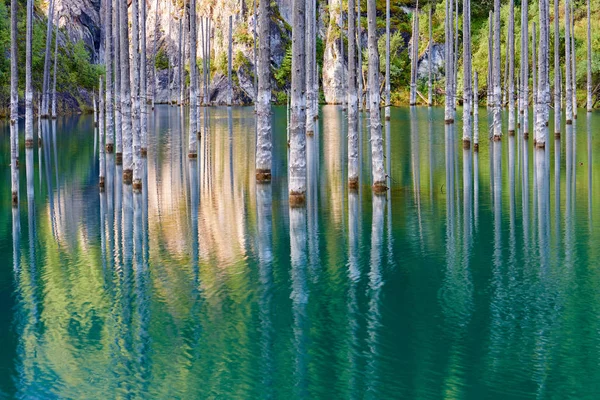 Floresta Afundada Lago Kaindy Lake Kaindy Seja Lago Bétula Lago — Fotografia de Stock