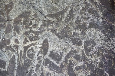 Kazakhstan.Petroglyphs Cumhuriyeti topraklarında petroglifler incising, toplama, oyma veya aşındırma, rock sanat biçimi olarak bir kaya yüzeyi parçası kaldırarak oluşturulan görüntülerdir.