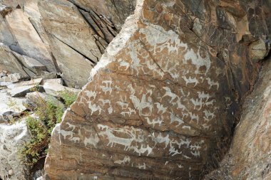 Kazakhstan.Petroglyphs Cumhuriyeti topraklarında petroglifler incising, toplama, oyma veya aşındırma, rock sanat biçimi olarak bir kaya yüzeyi parçası kaldırarak oluşturulan görüntülerdir.