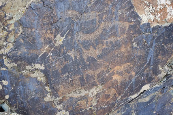 Petroglyphs Territory Republic Kazakhstan Petroglyphs Images Created Removing Part Rock — Stock Photo, Image