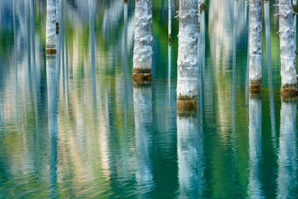 Der Birkensee Ist Ein 400 Meter Langer See Kasachstan Der — Stockfoto