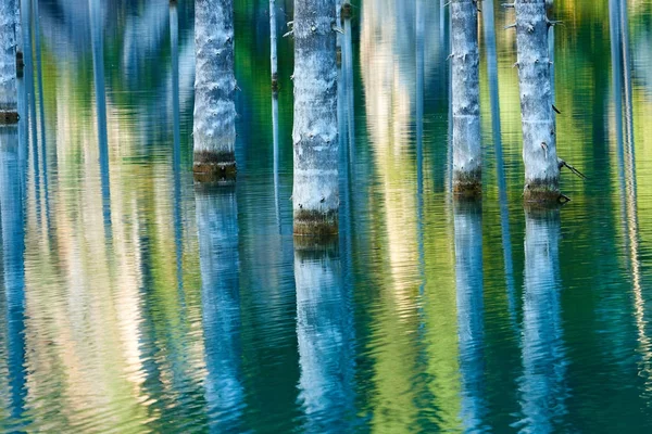 Der Birkensee Ist Ein 400 Meter Langer See Kasachstan Der — Stockfoto