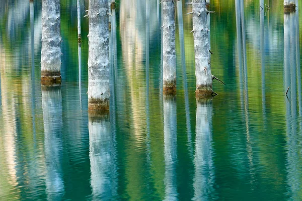 Reflection of trees on a green  background of lake.Lake Kaindy, meaning the \