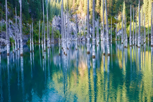 Reflection of trees on a green  background of lake.Lake Kaindy, meaning the \